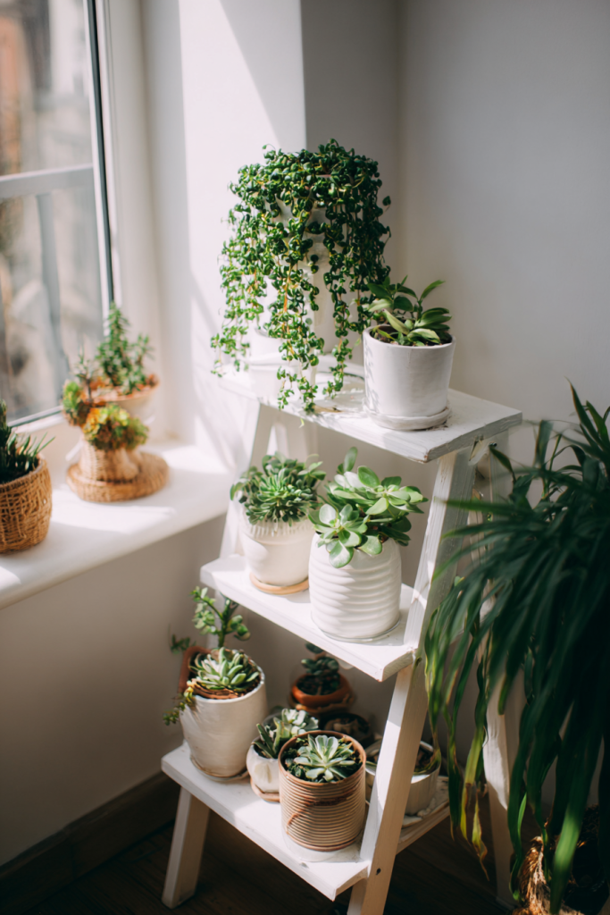 aesthetic dorm room ideas